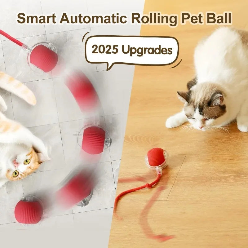 Interactive Self-Moving Cat Ball Toy